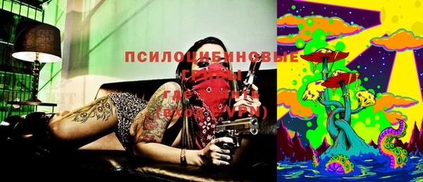 дурь Липки